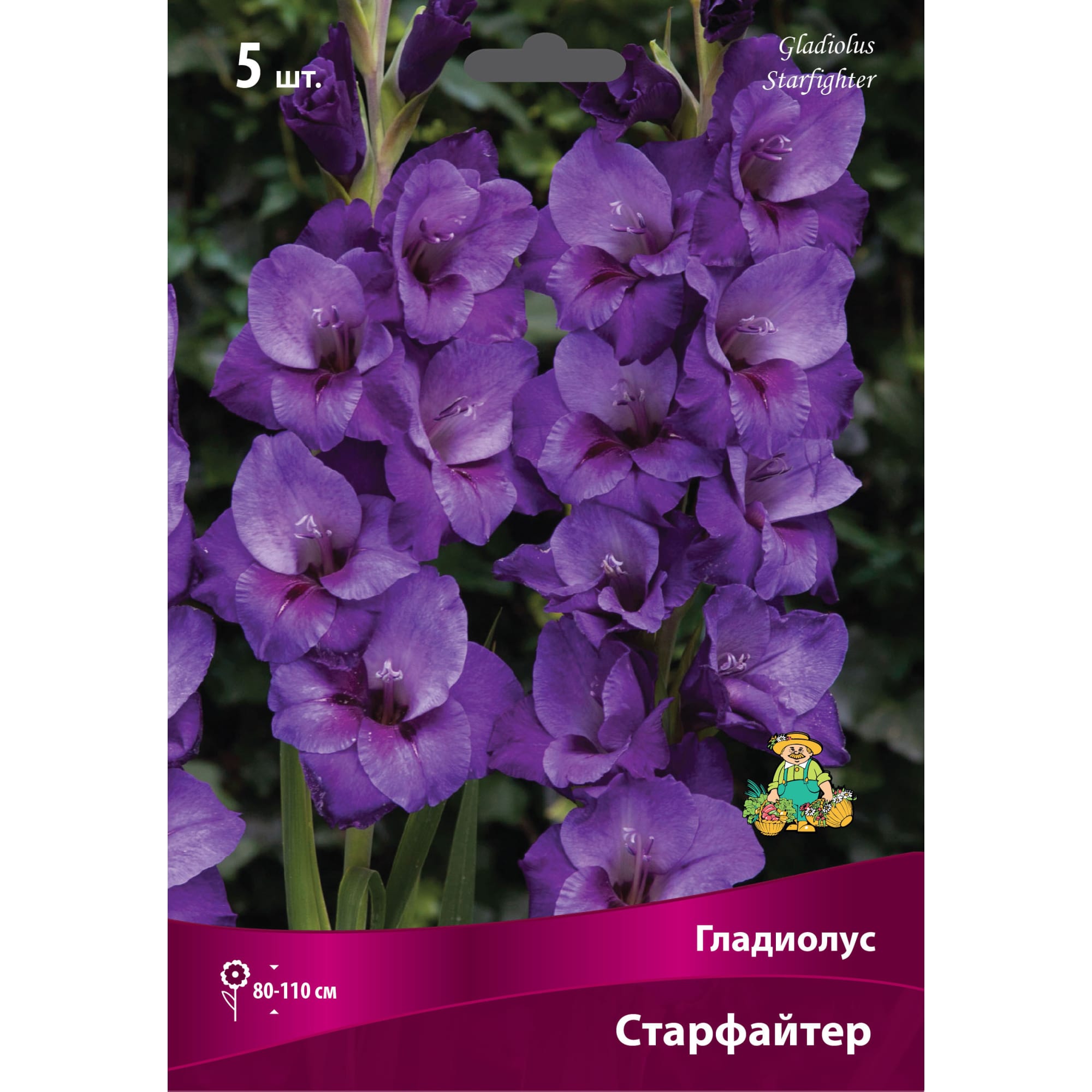 83596994 Гладиолус крупноцветковый Старфайтер луковица 12/14 Santreyd 