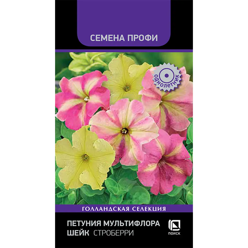 ПОИСК Петуния Мультифлора Строберри Шейк - компактный цветущий шедевр 89402695 STLM-1564232