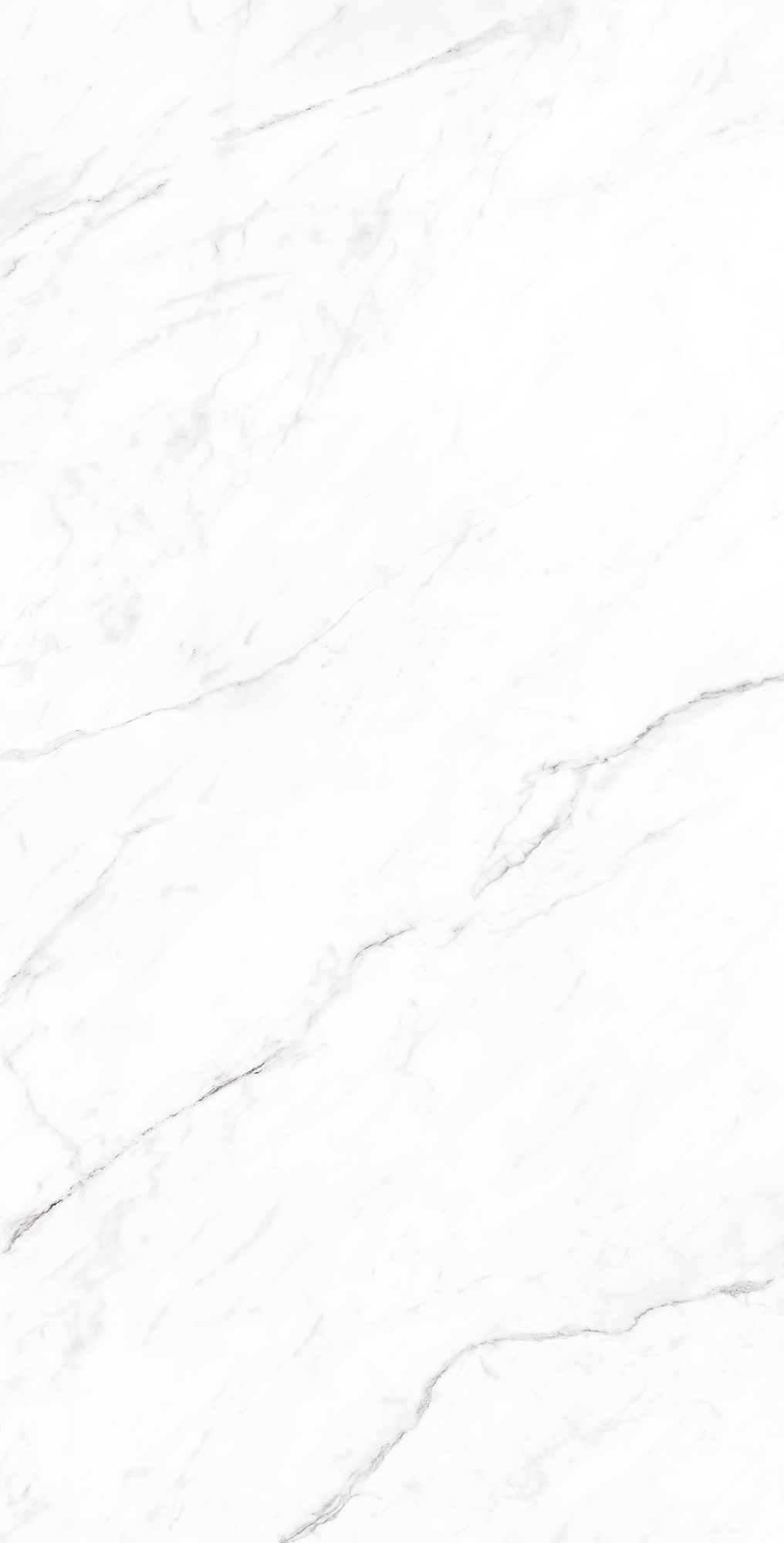 Белоснежный мраморный шедевр CORALINA WHITE CP4003-A Arcadia Ceramica - Вид №4