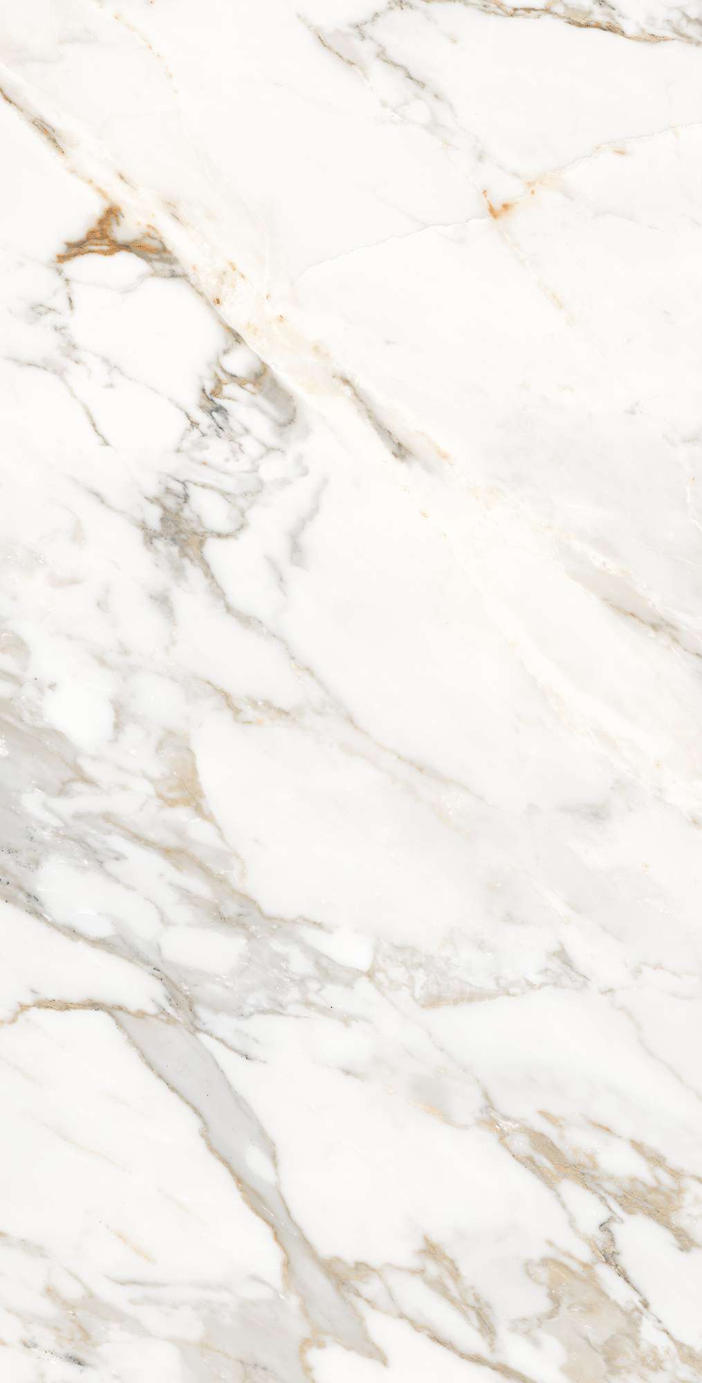 CALACATTA ORO — Элегантность мрамора в вашем интерьере FP1006-A Arcadia Ceramica - Вид №8