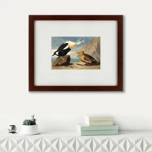 Картина: King Duck, 1827 КАРТИНЫ В КВАРТИРУ  191723 Разноцветный