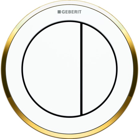 116.055.KH.1 Пневмоклавиша смыва Geberit дистанционная тип 10, двойной смыв, скрытое размещение Geberit  - Вид №5