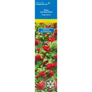 Роза канадская плетистая «Генри Келси» 82150692 STLM-2064009