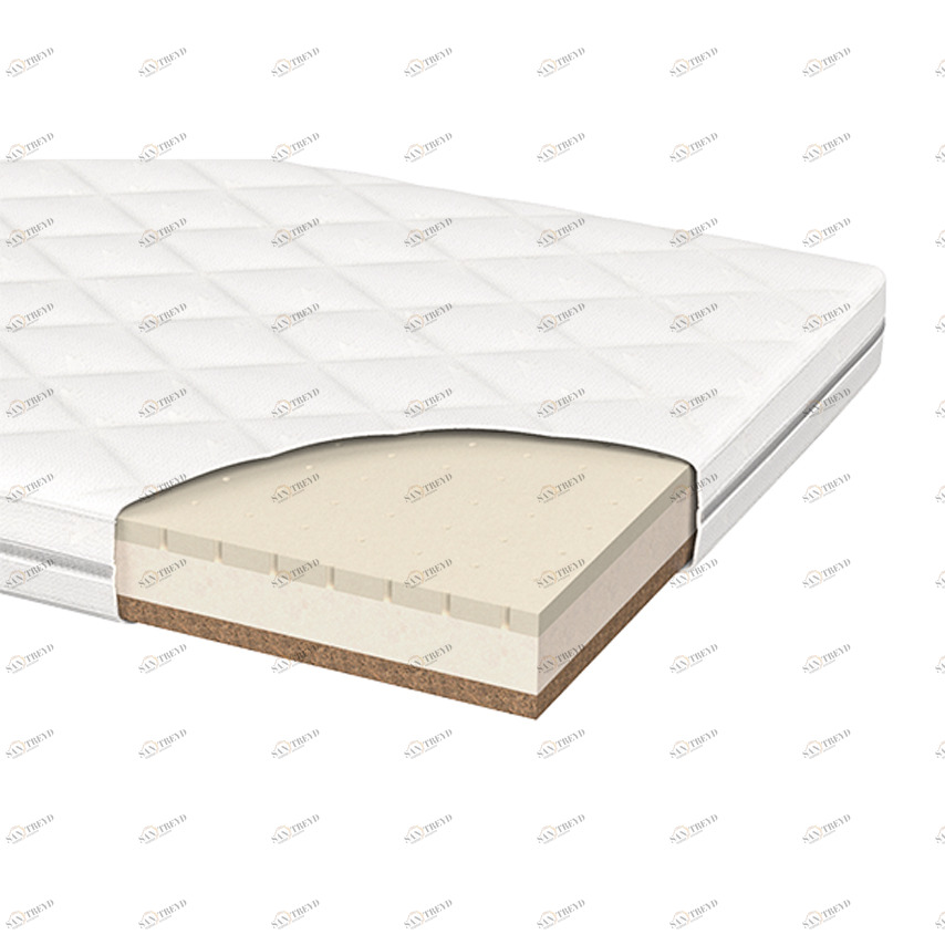 Матрас для кровати Home M 80х160 см кокос/eco-foam/латекс, 12 см ELLIPSE ELLIPSE HOME 351821 Белый Santreyd 