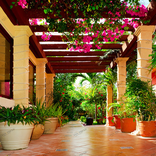 B1-009 Фотообои DIVINO Collection B 2.7х3 м B1009