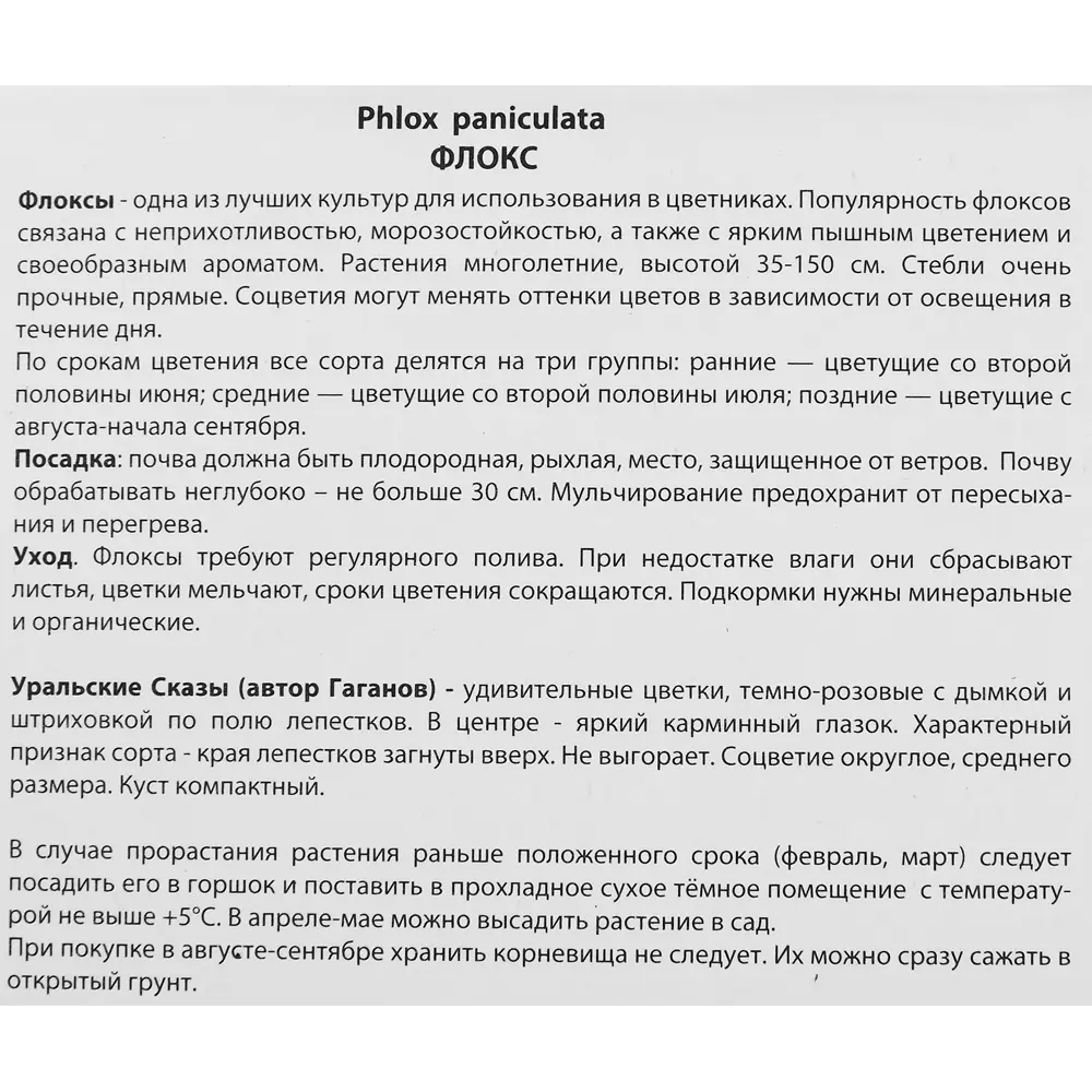 Флокс метельчатый Уральские сказы ПОИСК STLM-2141126 - Вид №2