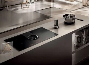 Elica Индукционная плита класса а + Nikolatesla