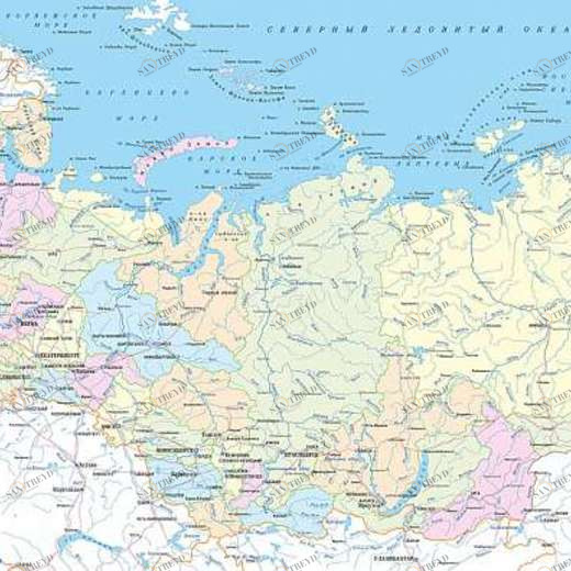 L-087 Фотообои DIVINO L&P 2х1 м L087