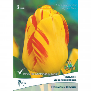 88294856 Тюльпан Дарвинов гибрид Олимпик флеймз луковица 10/11, 3 шт.