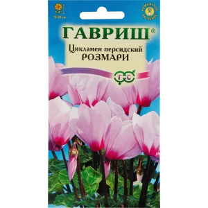 Цикламен персидский «Розмари», 3 шт. 82472685 STLM-2049503