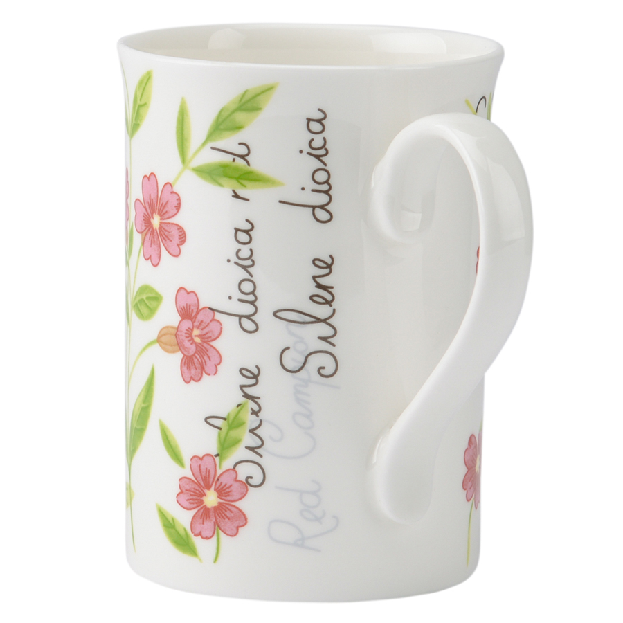 P_0043.007pk Кружка botanic 300 мл розовая Price&Kensington  - Вид №3