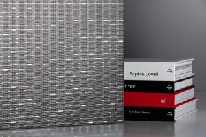 FSRT508 Интервалы Castglass выравнивают стекло в дизайне prose + grid, показанном черным цветом Forms-surfaces