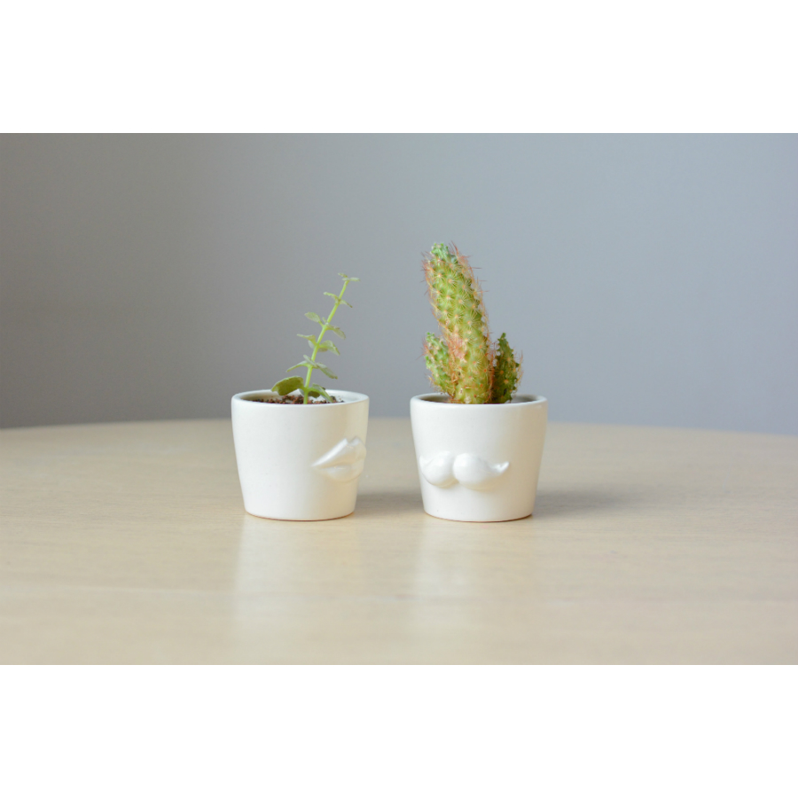 MIN-1-02 Набор для выращивания eco мини-кашпо «усы» Экочеловеки  - Вид №5