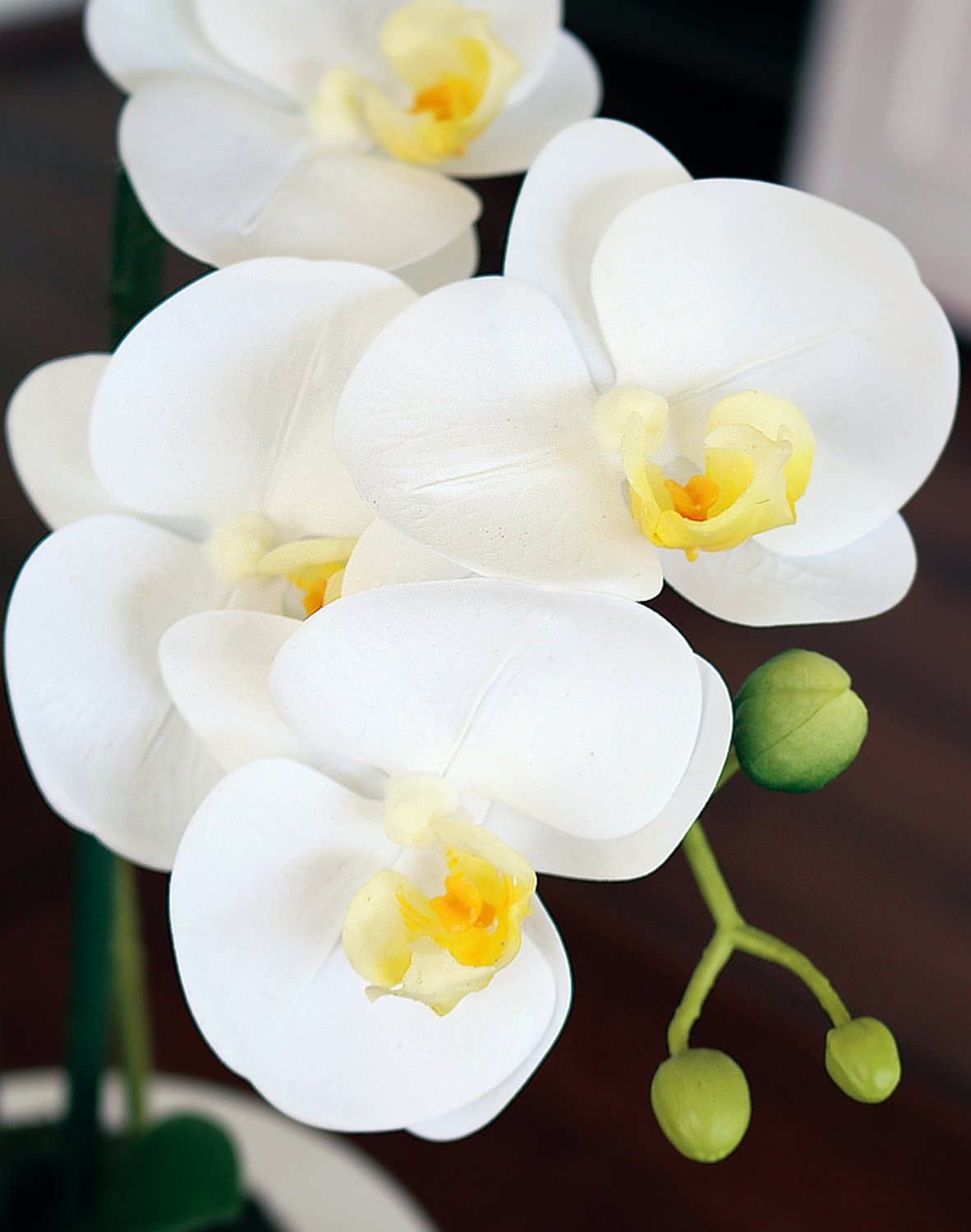 2606 778 a3 Искусственная орхидея Phalaenopsis, 55см, в горшке, real touch soft, кремово-белая H-andreas  - Вид №6