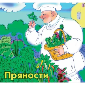 Набор семян «Пряности» 13 сортов