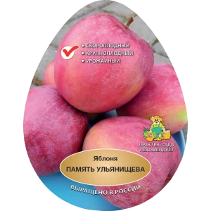 Яблоня Память Ульянищева h200 см Поиск Инвест 84399337 STLM-2010295