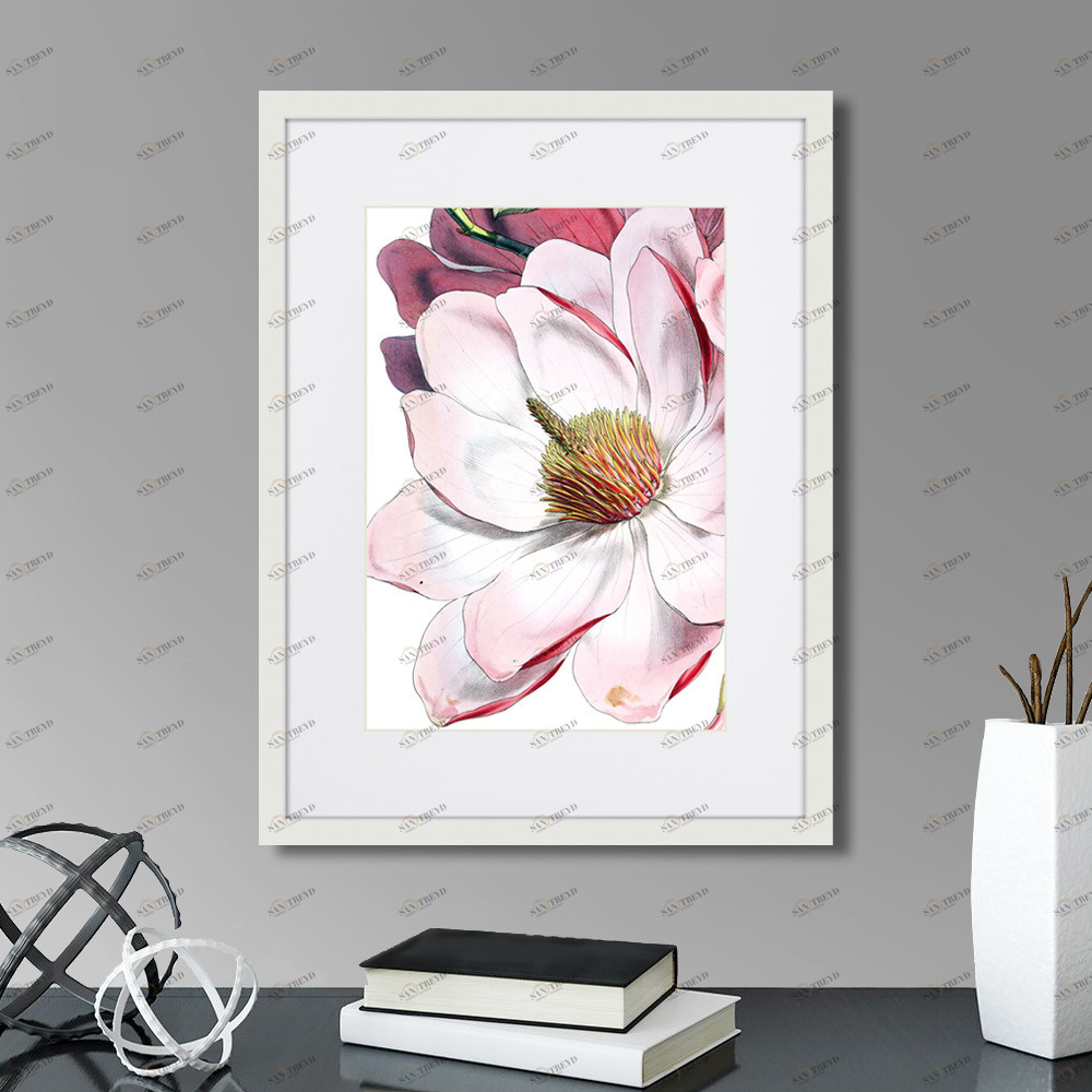 Картина в раме 42х32 см Himalaya Plants Pink-Flower on white II, 1869г. КАРТИНЫ В КВАРТИРУ  264652 Желтый;фиолетовый;разноцветный 