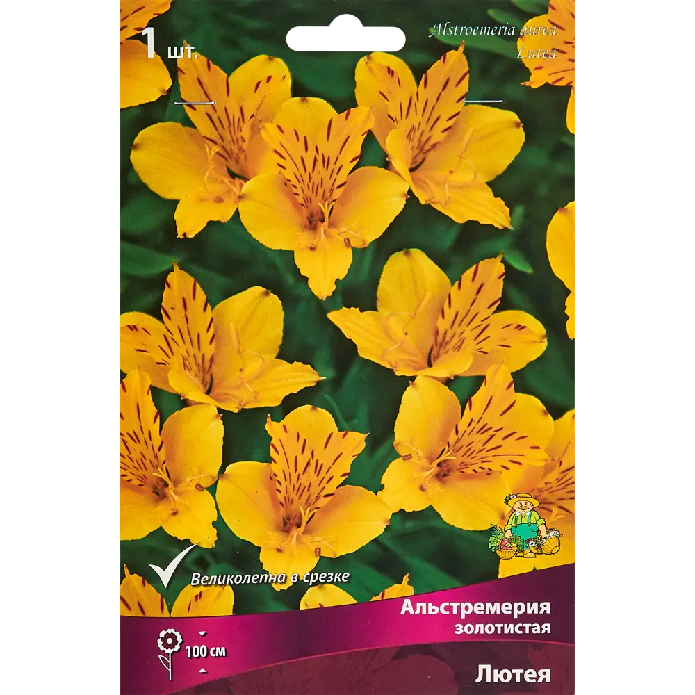 Альстремерия Лютея 86410117 STLM-2153018 ПОИСК 