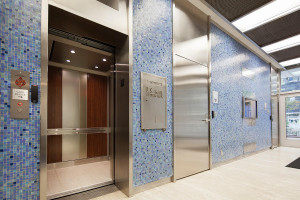 FSRT696 Интерьер лифта Levele-101 с минималистичными панелями из нержавеющей стали с отделкой из морского камня, плавленым белым золотом с отделкой из морского камня, нестандартные вставки на Вудворд-авеню 1520 и 1528, Детройт, Мичиган Forms-surfaces