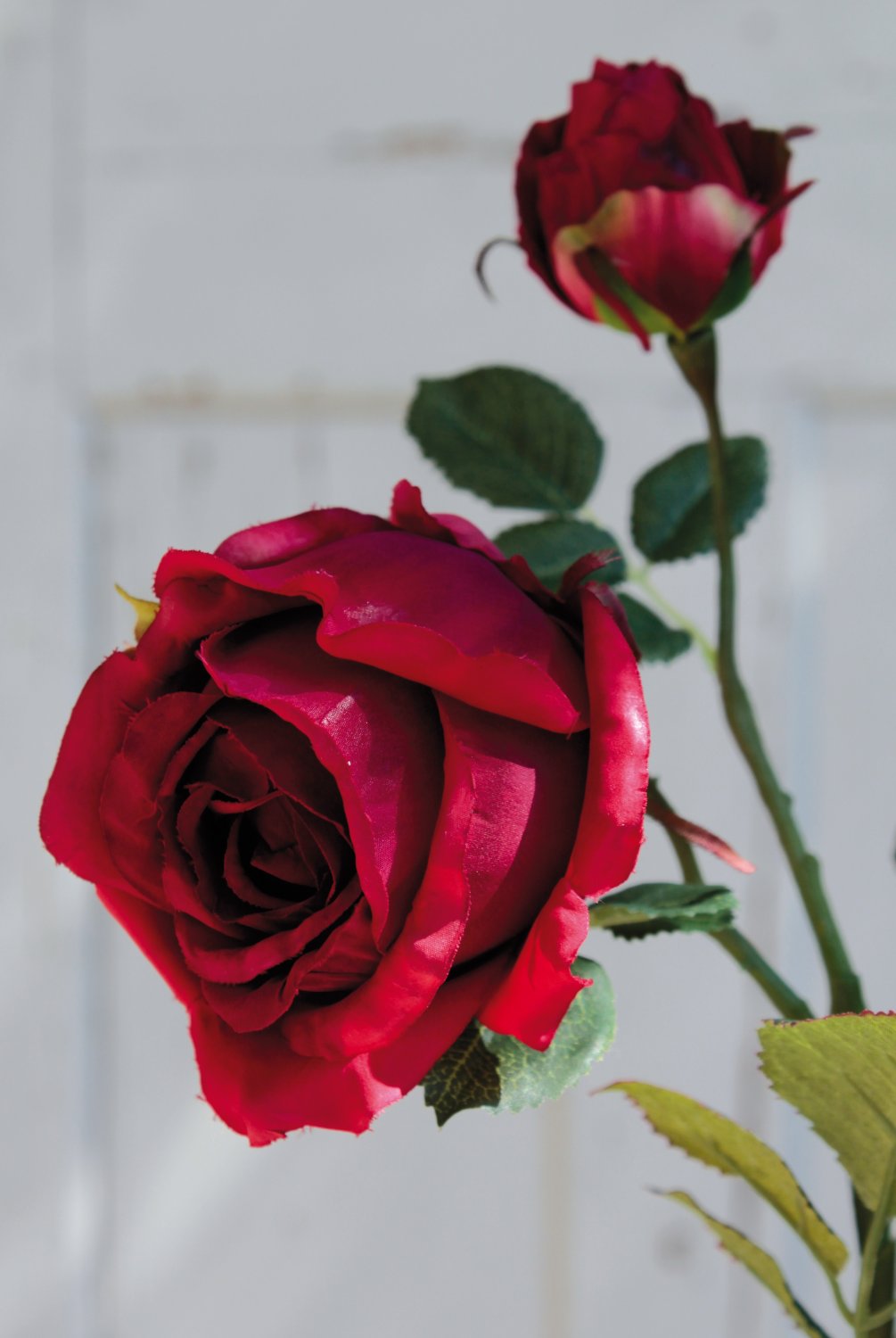 2683 444 a2 Искусственная роза, 1 цветок, 2 бутона, 49 см, красная H-andreas  - Вид №3