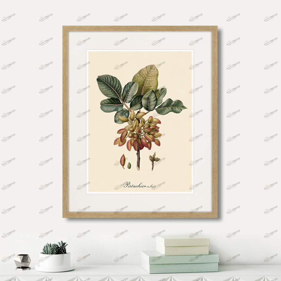 Картина в раме 52х42 см Juicy fruit lithography №8, 1870г. КАРТИНЫ В КВАРТИРУ  264430 Бежевый;зеленый;разноцветный 