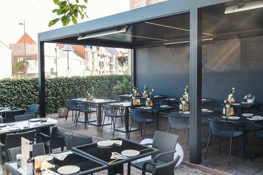 emu Darwin  521  - Вид №18