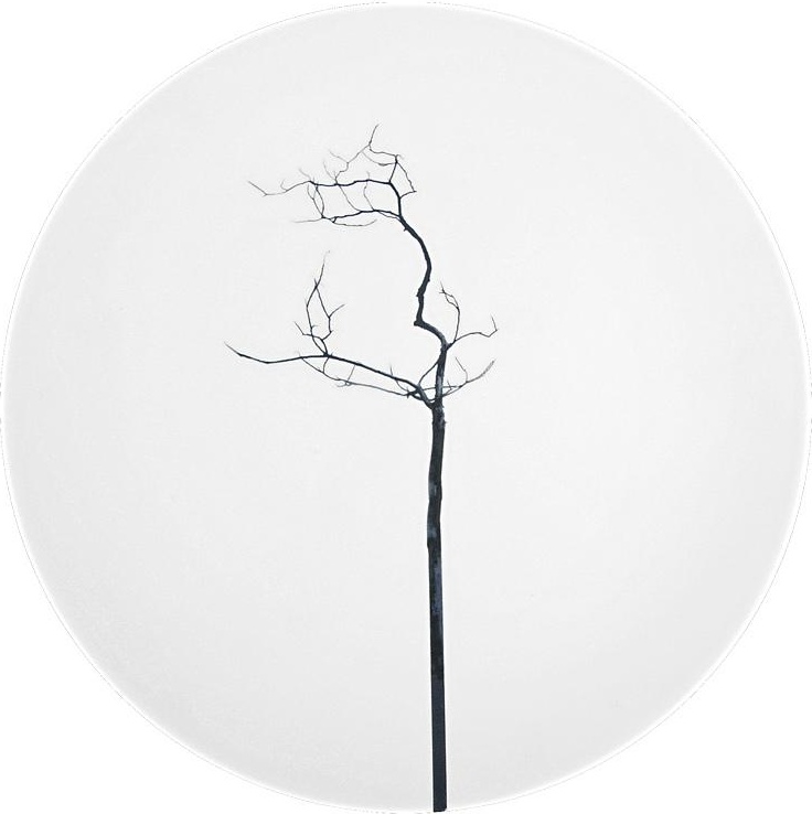 62356 Dibbern Тарелка десертная Dibbern "Чёрный лес" 16см Фарфор костяной 