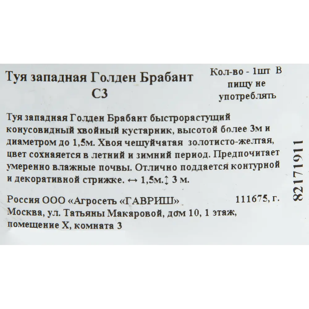 Туя западная «Голден Брабант» C3 82171911 STLM-2107664 ГАВРИШ  - Вид №1