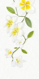 Frangipani 2 DW9FRG200  250х500