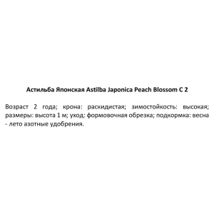 Астильба японская Пич Блоссом C2 ø15 h30 см