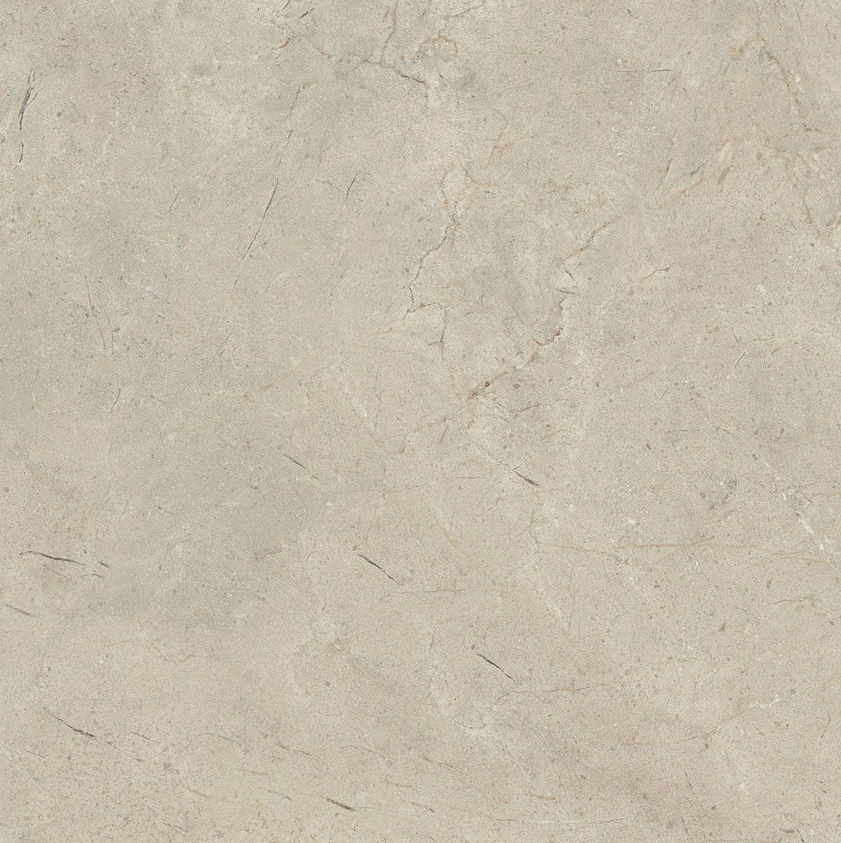 Пол / облицовка керамогранита с эффектом камня Italgraniti Calcis ARCH-00112215 - Вид №30