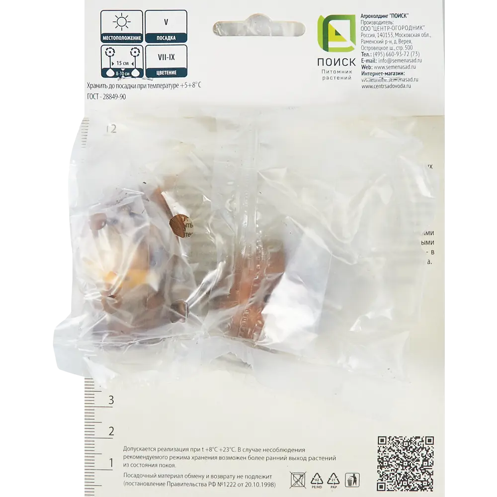 Гладиолус крупноцветковый Пекунья, 3 шт ПОИСК STLM-2163074 - Вид №1
