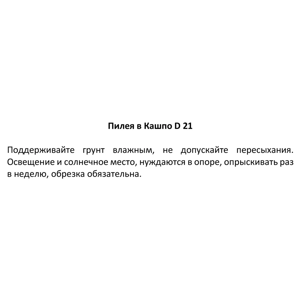 Santreyd Пилея в подвесном кашпо - живой декор для интерьера 83248516 STLM-0039968 - Вид №3