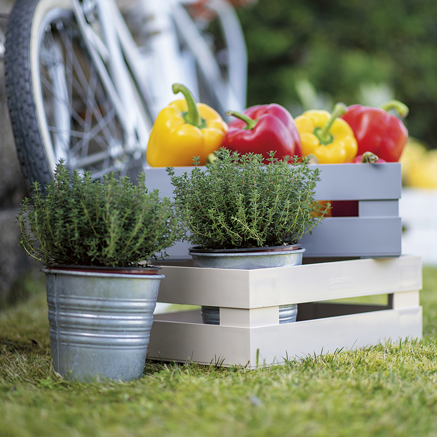 170201100 Ящик для хранения tidy&store 45х31х15 см, белый Guzzini  - Вид №1