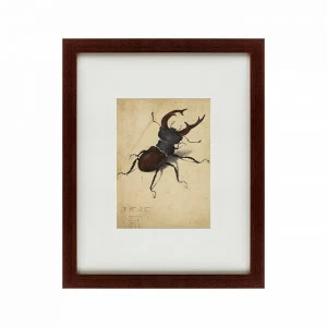 Картина: Stag Beetle, 1505 КАРТИНЫ В КВАРТИРУ  135745 Разноцветный