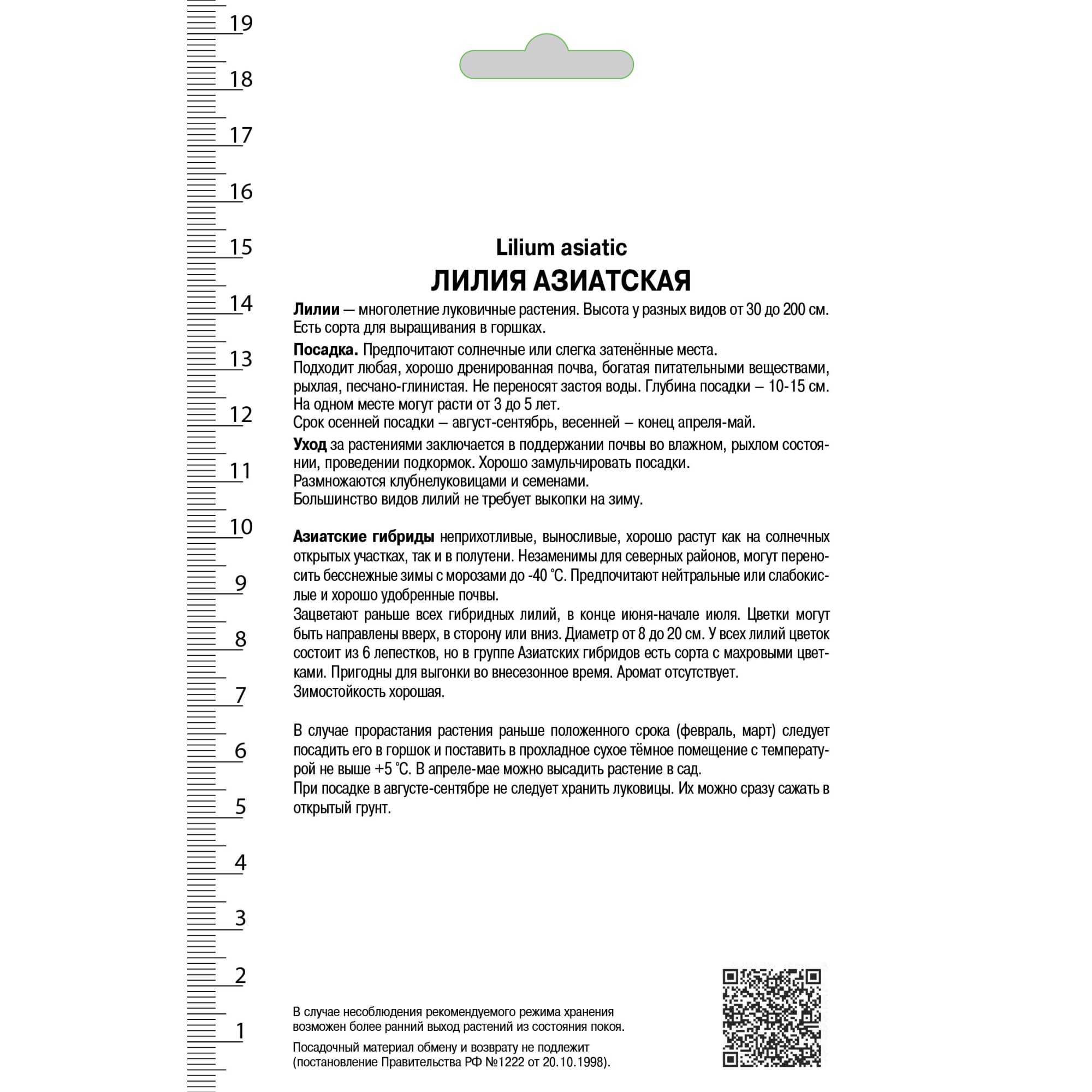 81945466 Лилия азиатская махровая «Спринг Пинк» Santreyd  - Вид №1