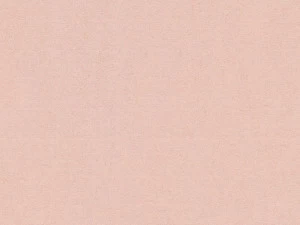 Architects Paper Однотонные обои на флизелине Versace iv