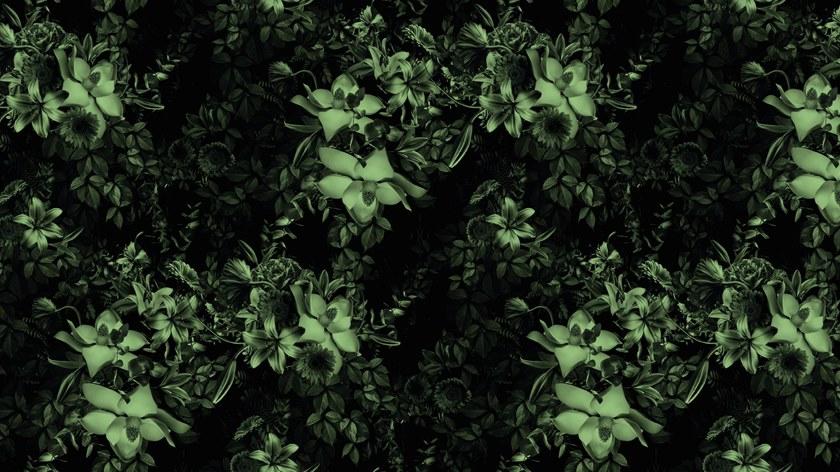 Baboon Цветочные обои для ванной Pattern sun-id-1406475 - Вид №6