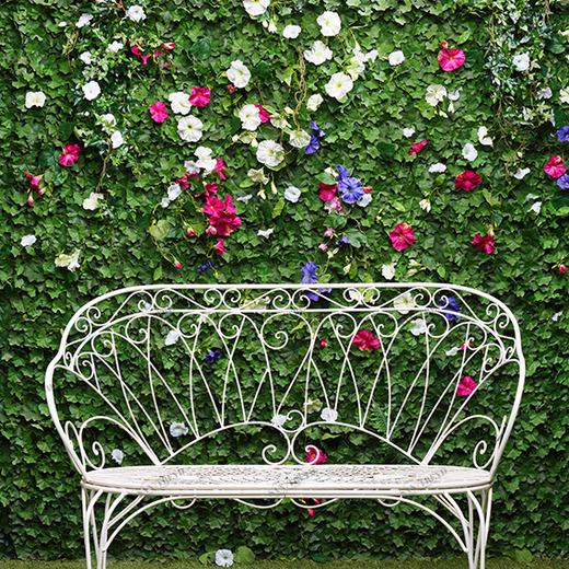 B1-088 Фотообои DIVINO Collection B 2.7х2 м B1088