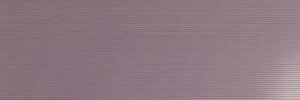 Belle Lila, 25х75