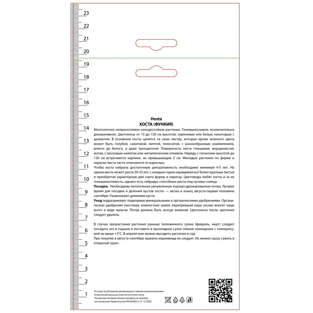 Хоста гибридная Даймонд Тиара 89452356 STLM-2165066 ПОИСК  - Вид №1