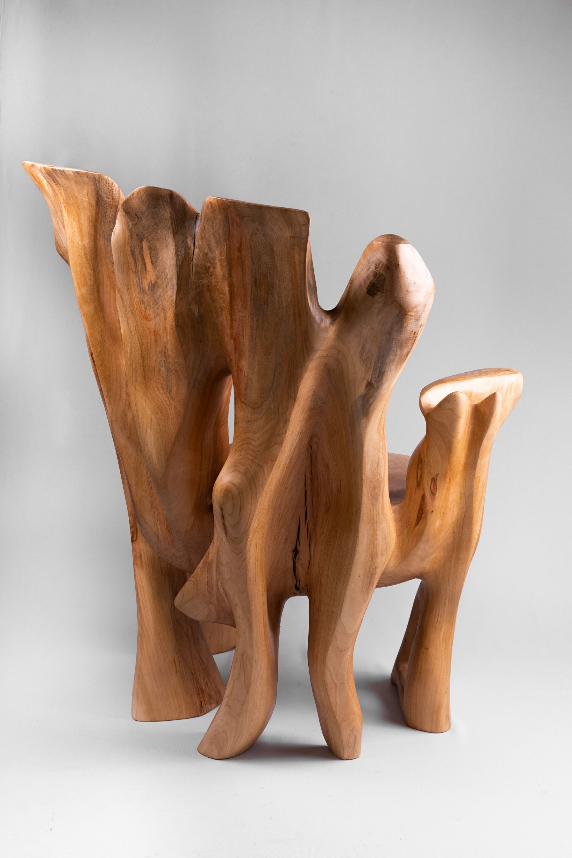 Деревянное кресло с подлокотниками Logniture Veles ARCH-00038632 - Вид №5