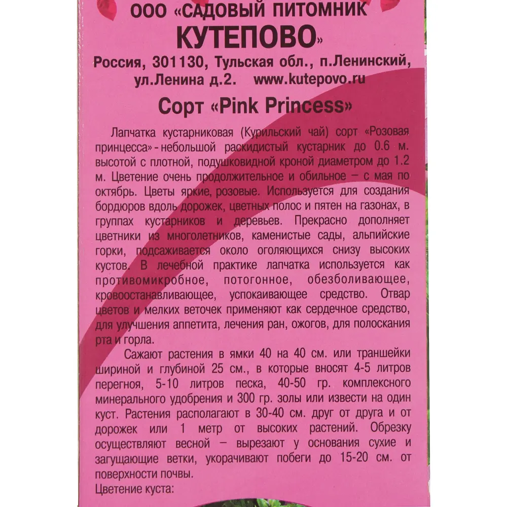Лапчатка розовая Pink Beauty, в коробке 81959712 STLM-2102397 Santreyd  - Вид №2