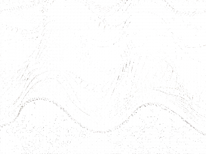 Equipo DRT Моющаяся обивочная ткань