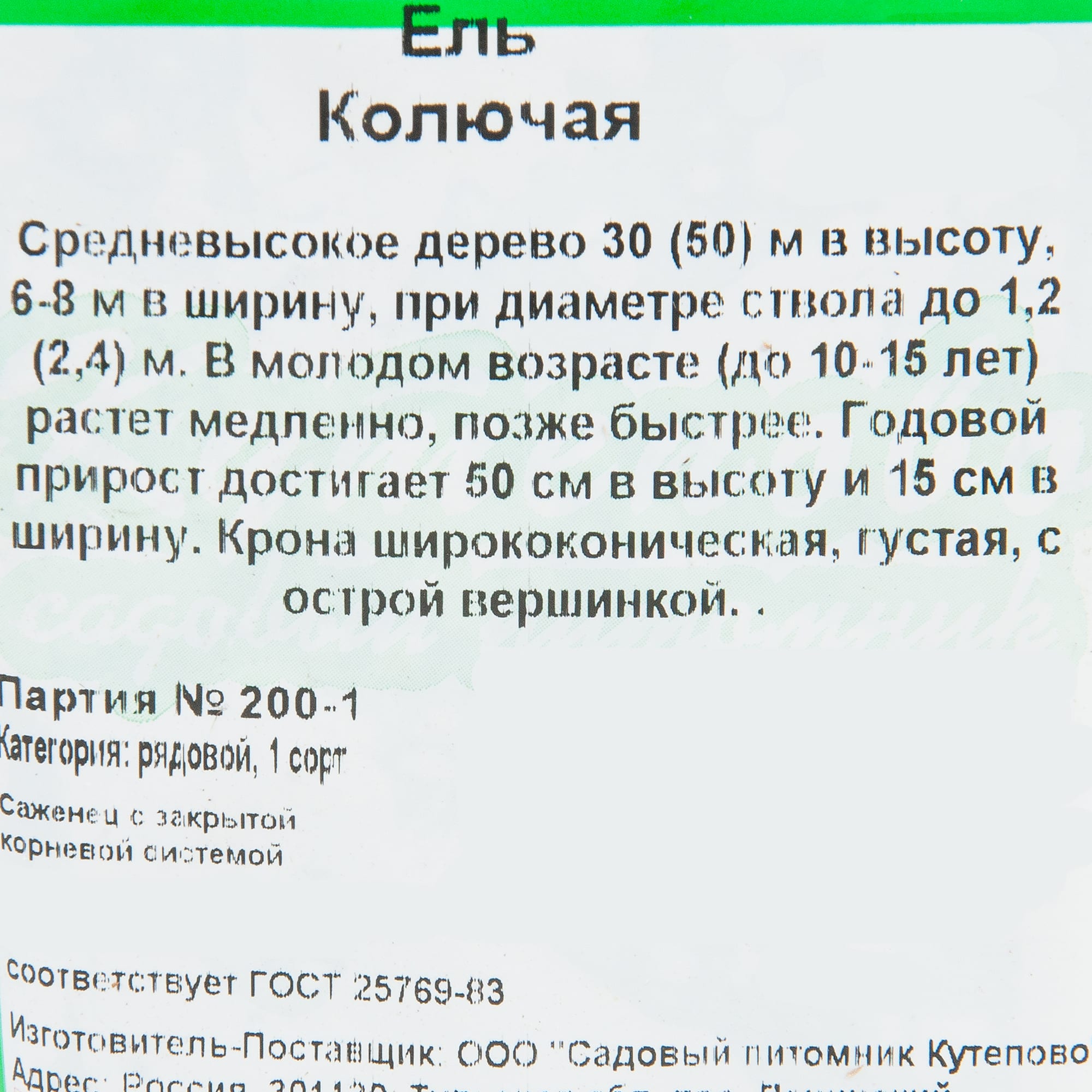 82596775 Ель колючая 9x10 см Santreyd  - Вид №1