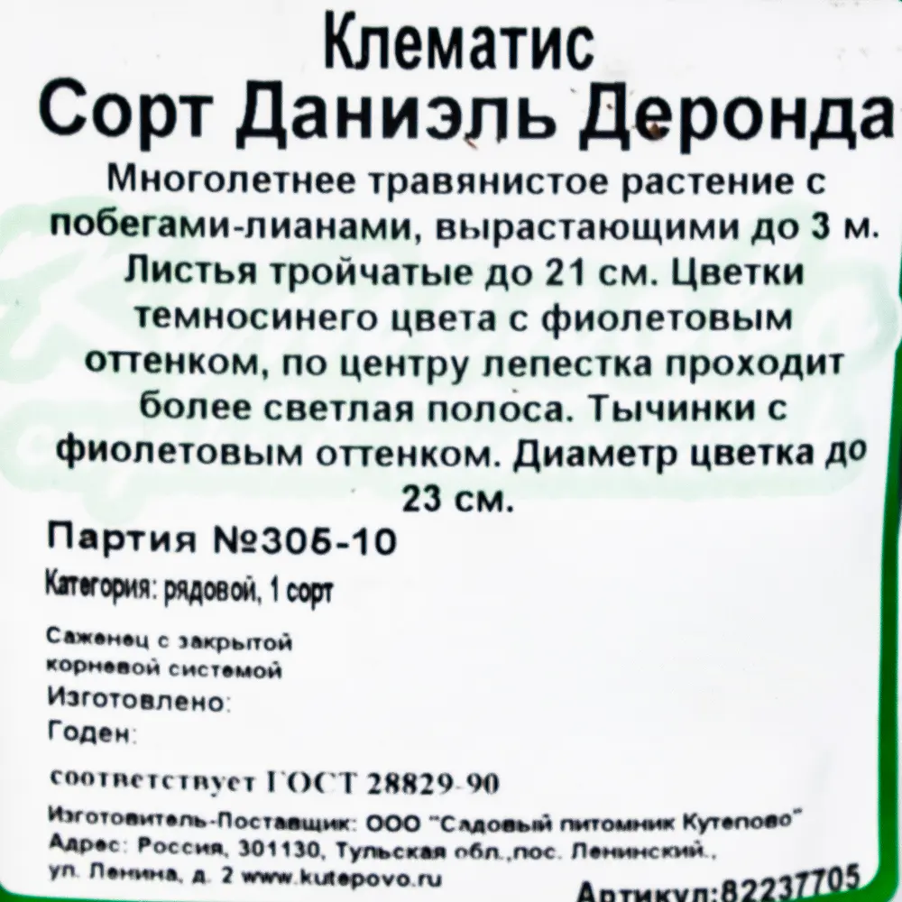 Клематис крупноцветковый «Даниэл Дерона» С1 82237705 STLM-2115057 Santreyd  - Вид №1