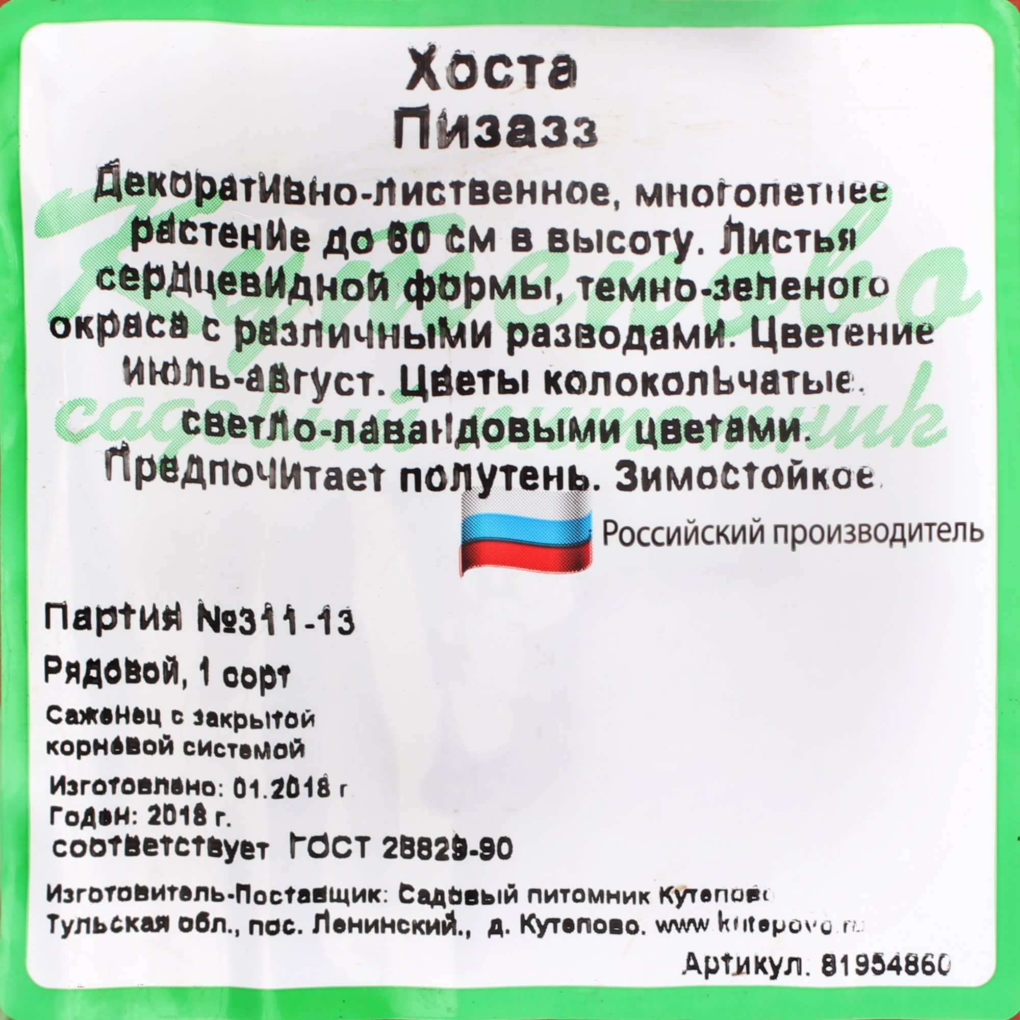 81954860 Хоста гибридная С2 «Пизас» h15 Santreyd  - Вид №2