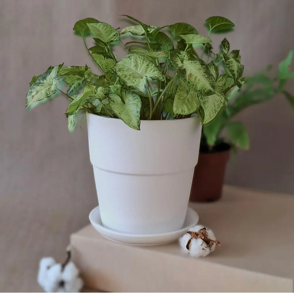 Горшок для цветов Котон Ø22 h22.5 см v5.1 л керамика белый Santreyd нет STLM-2155624 - Вид №1