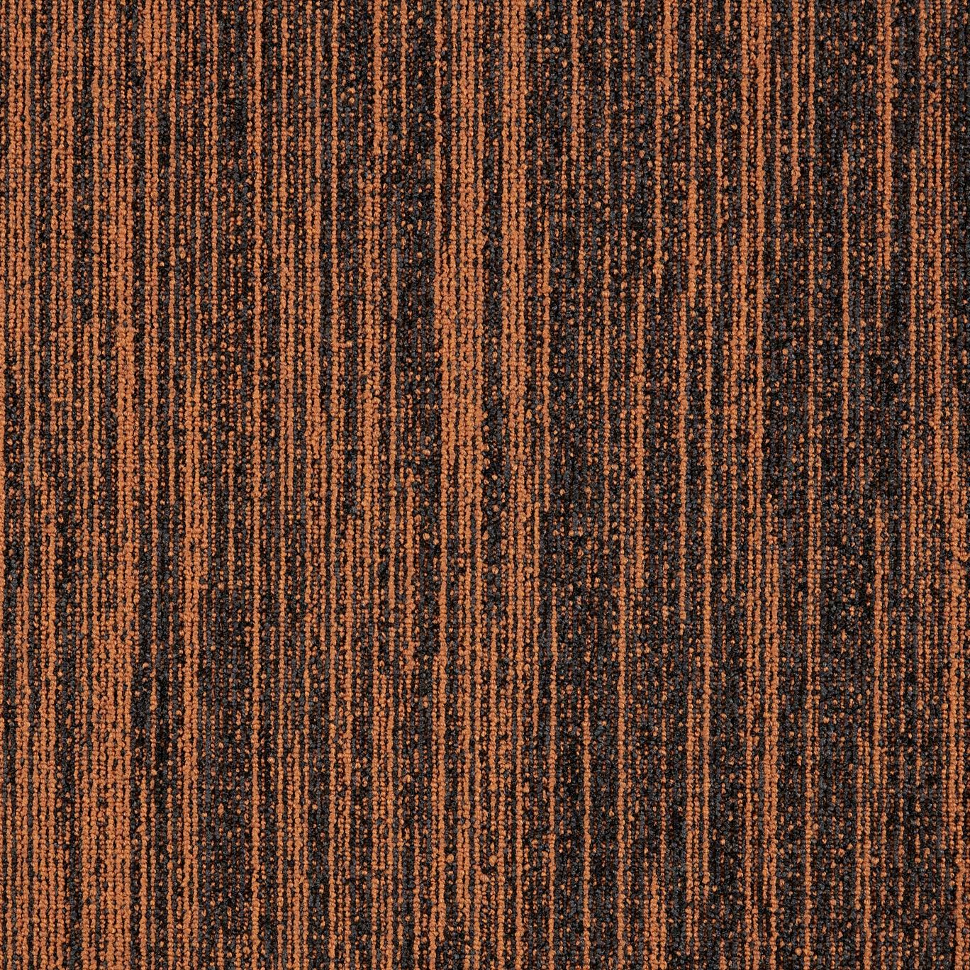 Однотонный полиамидный ковер MODULYSS First ARCH-00130799 - Вид №5