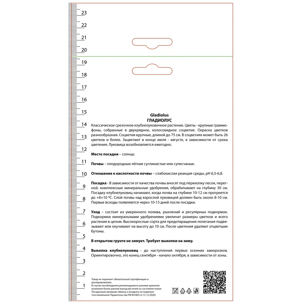 Гладиолус крупноцветковый микс, 3 шт ПОИСК STLM-2017991 - Вид №1